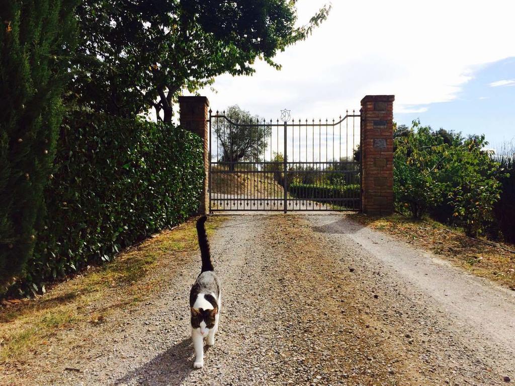 Agriturismo La Bicocca - Apt. "Il Leccio" Castel Rigone Bilik gambar